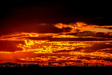 The sky is on fire
Burning orange and red clouds during the sunset in the Trakia region in Bugaria