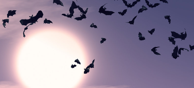 Bats in the night / 3d rendering