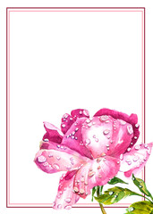 Obraz premium Flowers watercolor Bouquet and boutonniere .