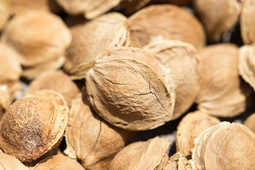 nuts from apricots as background