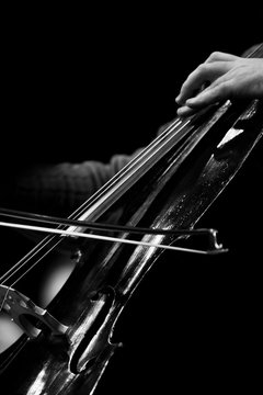The bow on the strings of the cello in black and white