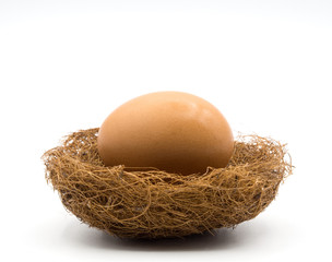side view closeup shot of an egg place in a birdnest on a white