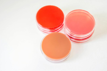 Selective Media for Bacteria growth.