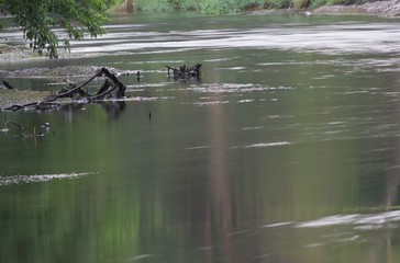 Blur  blurred surface river clean natural environment 