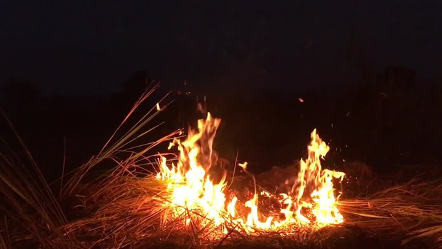 fire in slow motion.