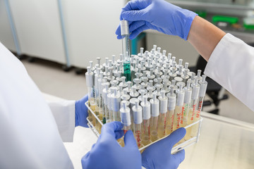 Forscher bereiten Proben für Experimente im Labor vor