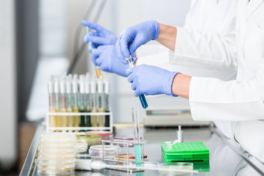 Forscher bereiten Proben f&uuml;r Experimente im Labor vor