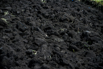 Freshly ploughed black soil close-up texture. Agricultural background.