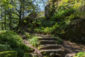 Wanderweg mit Steinstufen auf dem Falkenfelsen; Schwarzwald, Sommer