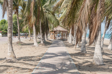 Cobblestone Walkway between palm trees on a beach