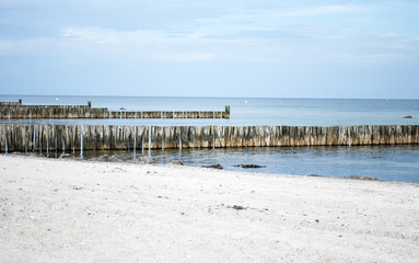 Holzbuhnen in der Ostsee als Küstenschutz, Schleswig-Holstein 