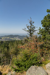 Falkenfelsen, Aussichtspunkt, Panorama; Schwarzwald, Sommer