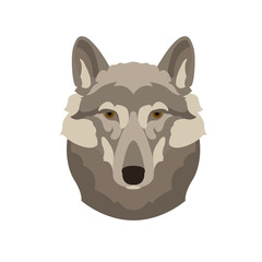 wolf head face vector illustration