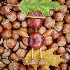 Small creature made of chestnuts and acorns. Autumnal decoration