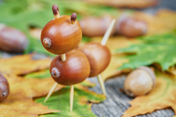Small creature made of chestnuts and acorns. Autumnal decoration