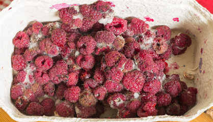 Rotten raspberries / fritter food