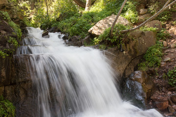 Fototapeta premium beautiful waterfall in nature