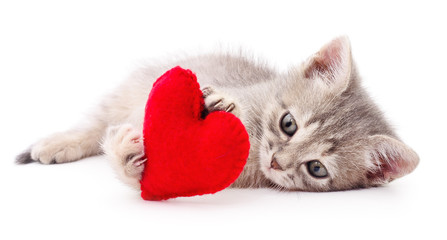Kitten with red heart. - 123259502