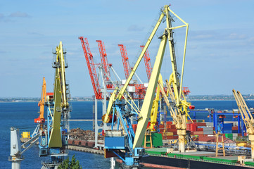 Bulk cargo ship under port crane