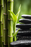 still life with zen basalt stones and bamboo