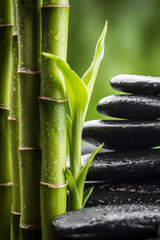 still life with zen basalt stones and bamboo