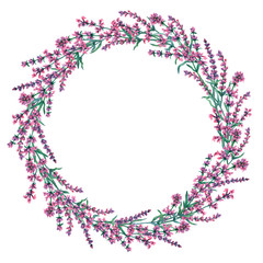 Circle frame of hand drawn lavender flowers. Watercolor hand painting illustration on isolate white background.