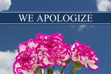 We Apologize message with a Pink and White Peony Bouquet