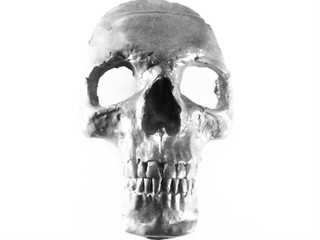 skull black white