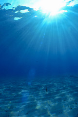 Fototapeta na wymiar Underwater scene with sand and sunlight
