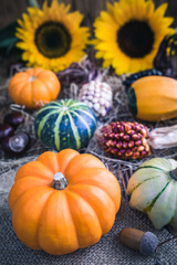 Kürbis auf Jute mit Sonnenblumen