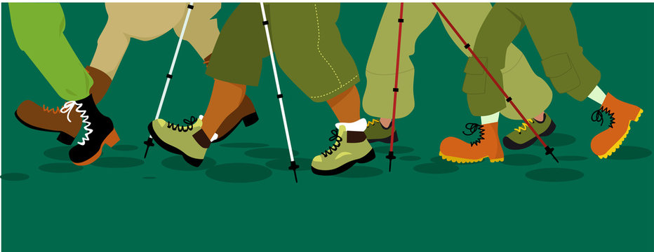 Legs of group of people walking in hiking boots with hiking poles, EPS 8 vector illustration, no transparencies, copy space at the bottom