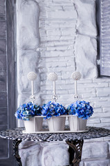 blue hydrangeas in pots