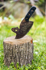 Rusty hatchet in the countryside