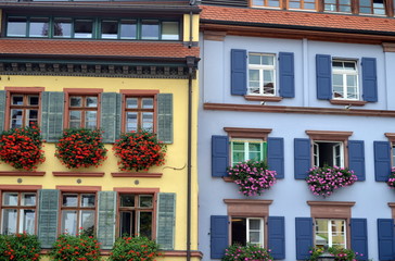 Fototapeta na wymiar Bunte Hausfassaden in Freiburg