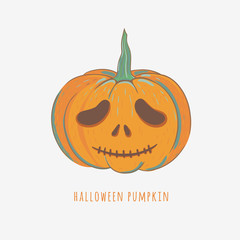 cute halloween pumpkin isolated on white, hand drawn vector illustration