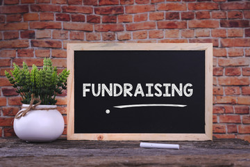 FUNDRAISING word on blackboard with green plant.