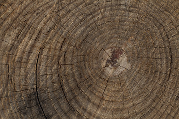 Naklejka premium odunculuk ve odun 