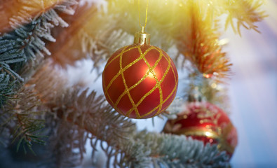 Fototapeta na wymiar bright Christmas bauble from a snow covered Christmas Tree Branch