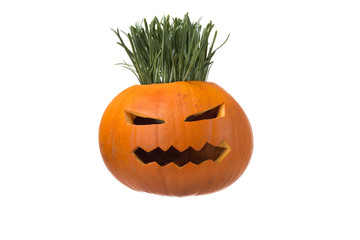 Halloween pumpkin with scary face. Jack O' Lantern isolated on w