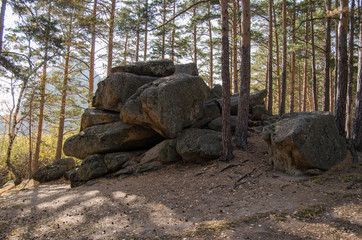 Fototapeta na wymiar A pile of stones in the pine forest.