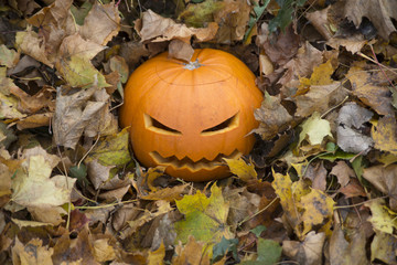 Halloween pumpkin with face and leaves, outdoor