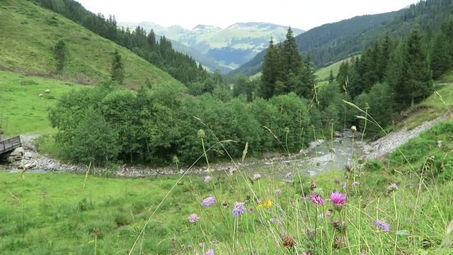 Zillertal valley landscape with meadow, barn and stream. Located at Schoenachtal valley in Tirol (Austria).