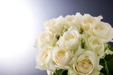薔薇