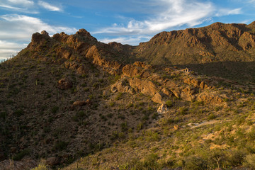 Fototapeta premium Arizona Desert Landscapes