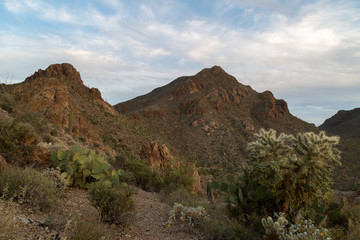 Fototapeta na wymiar Arizona Desert Landscapes