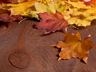 Naklejka na ściany i meble The Autumn background