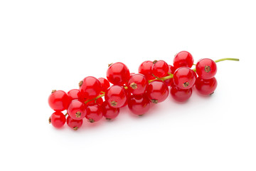 Red Currant close up isolated on white.
