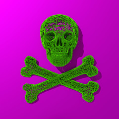 3d rendered skull low poly illustration