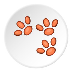 Animal paws icon. artoon illustration of animal paws icon vector icon for web