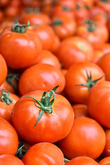 Fresh organic tomatoes on street market stall